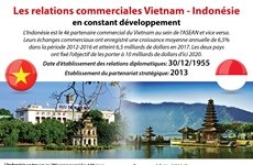 [Infographie] Les relations commerciales Vietnam - Indonésie en constant développement