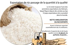 [Infographie] Exportation de riz: passage de la quantité à la qualité
