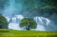 Cao Bang : ouverture de la 2e fête touristique de la cascade de Ban Gioc 