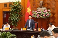Actionnarisation des entreprises publiques : Ho Chi Minh-Ville doit être plus dynamique
