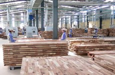 VPA/FLEGT: construction d'un marché de bois transparent et équitable