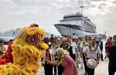 Le 15 millionième touriste étranger foule le sol vietnamien