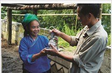 Les artisans-argentiers de Hà Giang