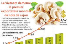 Le Vietnam demeure le ​premier exportateur mondial de noix de cajou 
