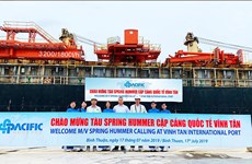 Le port international de Vinh Tan accueille le premier navire étranger 