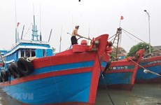 La tempête Wipha devrait toucher la zone maritime de Quang Ninh - Hai Phong
