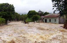 Son La : des maisons inondées après la tempête Wipha