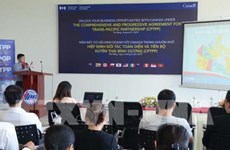 Promotion des opportunités d’affaires entre la ville de Da Nang et le Canada