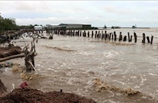 Kien Giang : de fortes pluies causent de lourds dégâts 