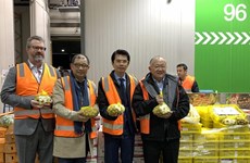 De premiers longanes frais vietnamiens exportés en Australie