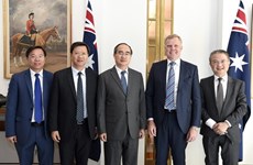 HCM-Ville souhaite devenir un partenaire stratégique de l'Australie en matière d'innovation