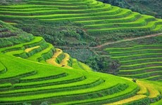 Sa Pa et Ninh Binh dans le top des destinations les plus attrayantes en Asie