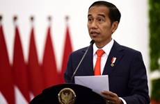 L'Indonésie appelle le G20 à aider les pays en développement
