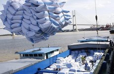 De premières tonnes de riz vietnamien importées au Royaume-Uni dans le cadre de l’UKVFTA