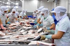 Le Vietnam oeuvre pour accélérer les négociations de l’OMC sur les subventions à la pêche
