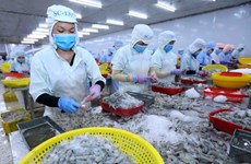 La consommation de produits aquatiques vietnamiens devrait se redresser fortement
