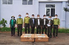 Un grand nombre d'animaux sauvages sauvés par le parc national de Cuc Phuong