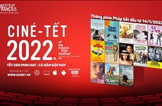 Treize films français à visionner gratuitement sur la plateforme DANET