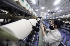 Les exportations nationales de fibres textiles ont atteint un record