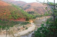 Le Vietnam compte plus de 1,2 million d'hectares de terres inexploitées