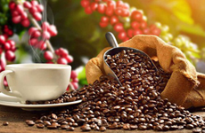 Le Japon augmente ses importations de café vietnamien