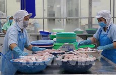 Le potentiel d'exportation de produits aquatiques vietnamiens vers la Chine très important