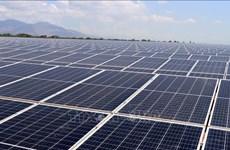 Les États-Unis renoncent aux droits de douane sur les panneaux solaires du Vietnam