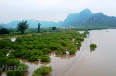 Développement durable: le Vietnam doit établir une feuille de route pour la "transition verte" 