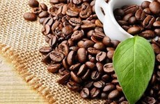 Opportunités élargies pour le café vietnamien aux États-Unis
