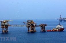 Vietsovpetro améliore le coefficient de récupération du pétrole
