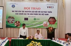 Promouvoir les valeurs économiques du bambou vietnamien