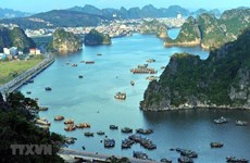 Quang Ninh: La baie de Ha Long continue de dire non aux déchets plastiques