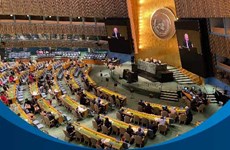 Le Vietnam élu pour la deuxième fois au Conseil des droits de l'homme de l'ONU