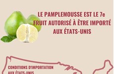 Le pamplemousse est le 7e fruit vietnamien autorisé à être importé aux États-Unis