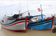 Pêche INN: Ba Ria-Vung Tau s'efforce de supprimer le "carton jaune" de la CE 