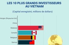 Les 10 plus grands investisseurs au Vietnam