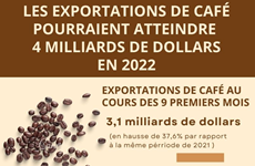 Les exportations de café pourraient atteindre 4 milliards de dollars en 2022