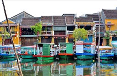 Quang Nam mise sur le tourisme vert