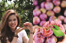 Elle lance une carte numérique de fruits vietnamiens