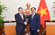 Promotion du partenariat stratégique renforcé Vietnam-Thaïlande