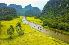 Ninh Binh travaille à relancer son secteur du tourisme