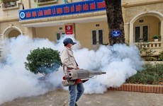 Hanoï recommande aux gens de rester vigilants face à la dengue