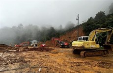 Le PM ordonne des mesures pour faire face aux catastrophes naturelles dans le Tay Nguyen