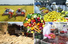 EVFTA, une opportunité pour les produits agricoles vietnamiens sur le marché européen