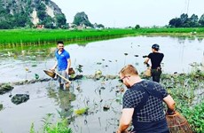Pour des découvertes et des expériences fascinantes, venez au Vietnam!