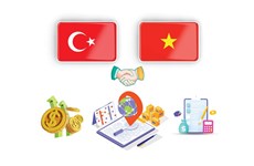 Promotion de la coopération Vietnam - Turquie