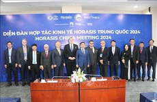 Le Forum Horasis Chine 2024 dynamise la coopération entre Binh Duong et les entreprise étrangères