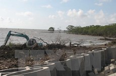 Planification de l'espace maritime et amélioration de l'écosystème côtier du delta du Mékong