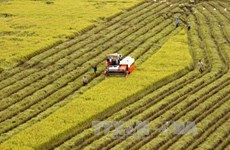 La visioconférence pour faire le bilan du secteur agricole en 2018