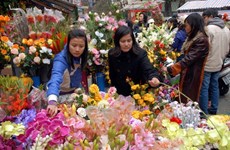 Hang Luoc, marché aux fleurs du printemps 